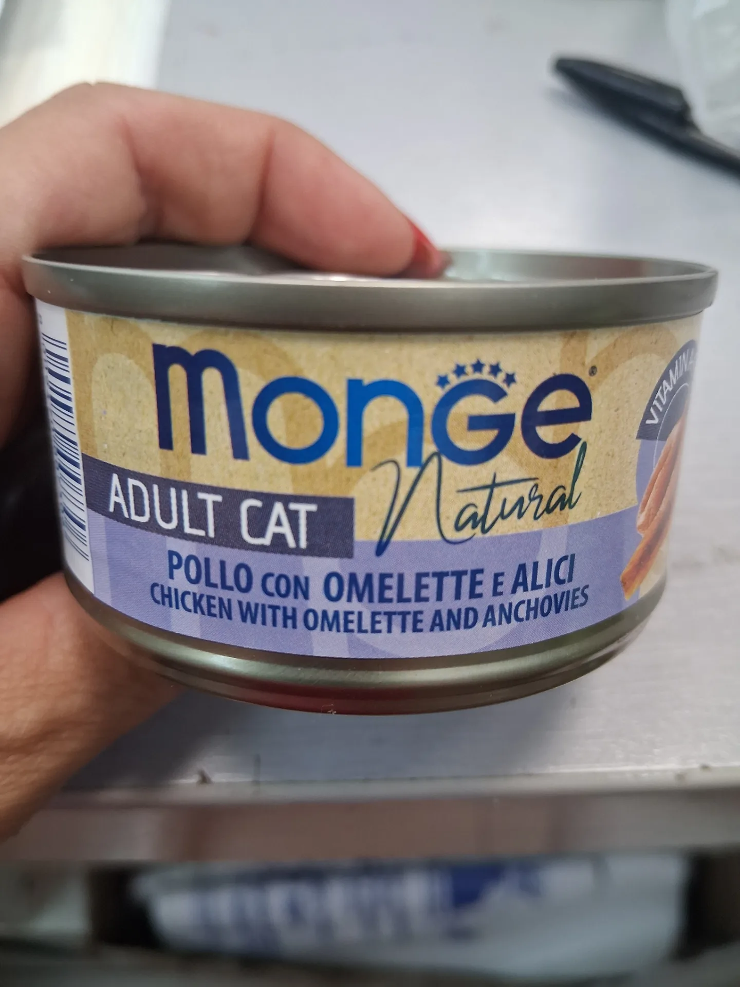 Monge umido gatto