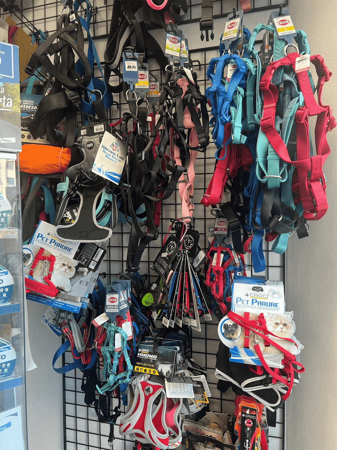 guinzagli accessori animali